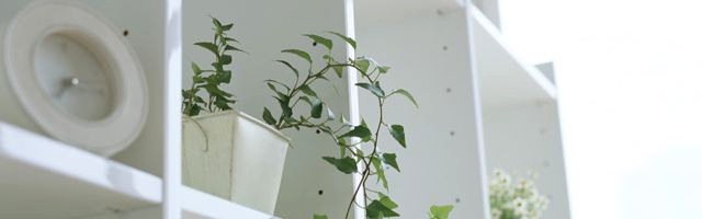 周りの敷地を調べて住まいを快適にする